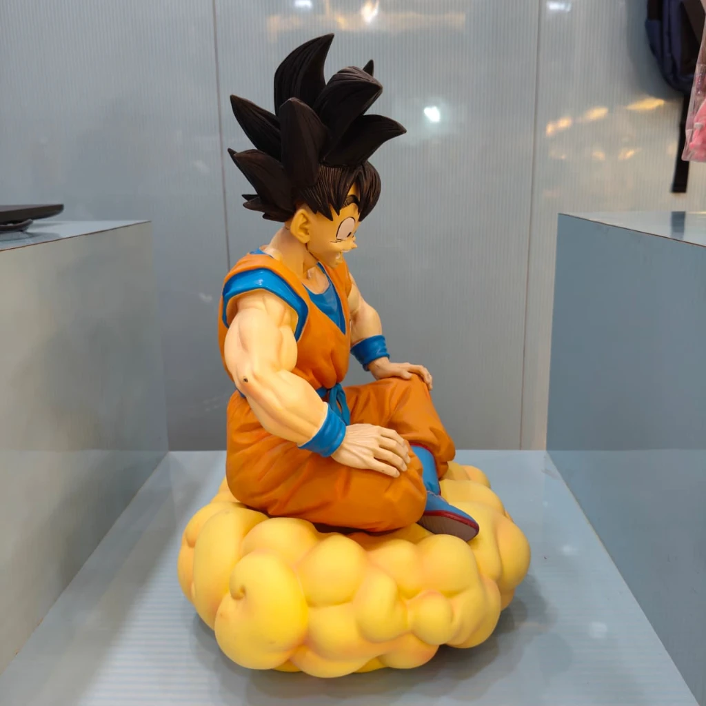 GOKU ON CLOUD - Image 9